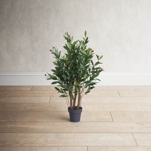 Birch Lane™ Artificial Olive Tree & Reviews Wayfair